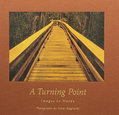 A Turning Point: Images to Words