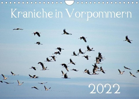 Kraniche in Vorpommern (Wandkalender 2022 DIN A4 quer)