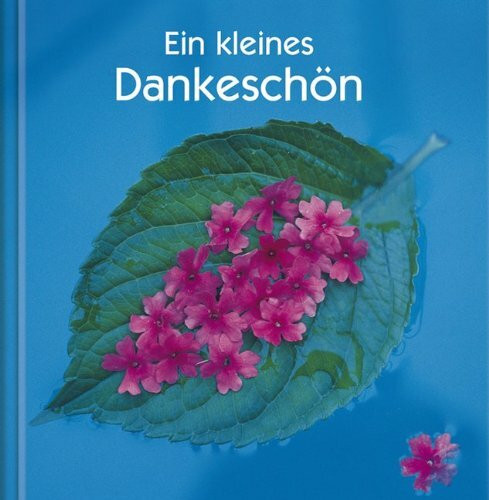 Ein kleines Dankeschön: Geschenkbuch