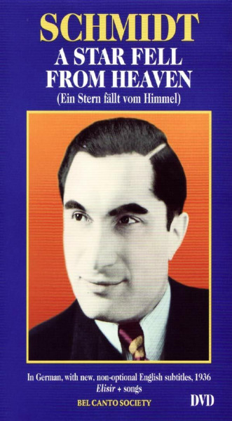 Ein Stern Fällt Vom Himmel