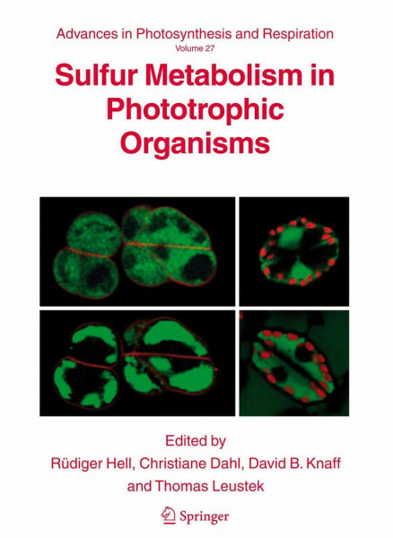 Sulfur Metabolism in Phototrophic Organisms (Advances in Photosynthesis and Respiration, 27, Band 27)