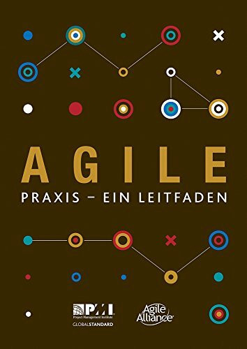 Praxisleitfaden Agilität: Praxis - Ein Leitfaden
