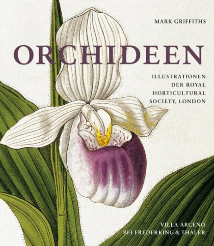 Orchideen (Villa Arceno)