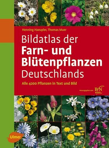 Bildatlas der Farn- und Blütenpflanzen Deutschlands: Alle 4200 Pflanzen in Text und Bild