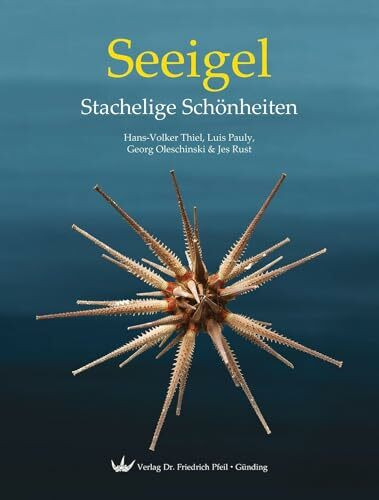 Seeigel – Stachelige Schönheiten