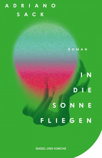 In die Sonne fliegen: Roman | Eine zeitgemäße Satire auf die Welt der Schönen und Reichen | Provokant, wild, lustig und tragisch zugleich