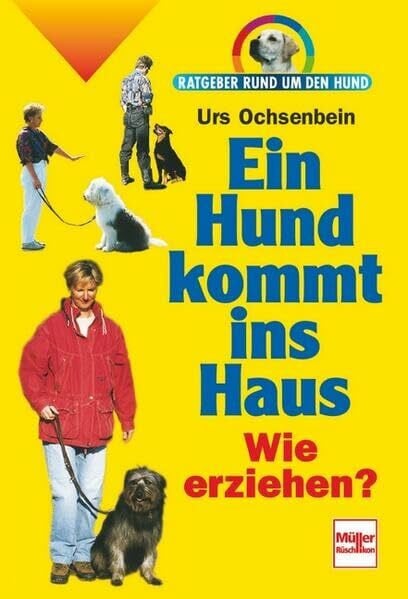 Ein Hund kommt ins Haus: Wie erziehen? (Ratgeber rund um den Hund)
