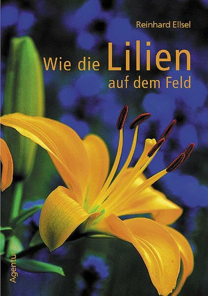 Wie die Lilien auf dem Felde