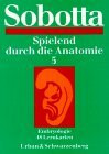 Spielend durch die Anatomie 5. Embryologie