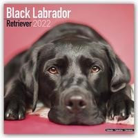 Black Labrador Retrievers - Schwarze Labradore 2022 - 18-Monatskalender mit freier DogDays-App