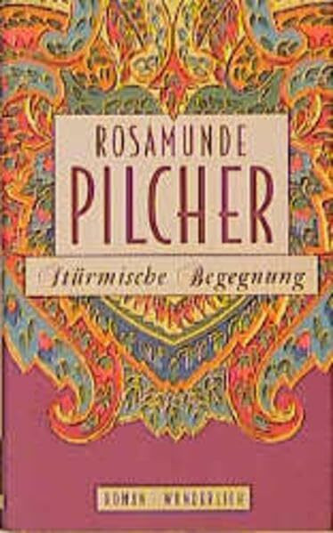 Stürmische Begegnung: Roman