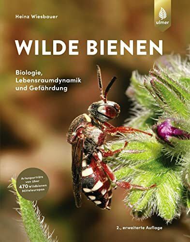 Wilde Bienen: Biologie, Lebensraumdynamik und Gefährdung. Artenporträts von über 470 Wildbienen Mitteleuropas