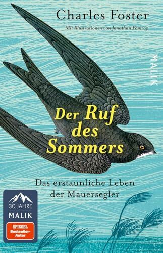 Der Ruf des Sommers: Das erstaunliche Leben der Mauersegler | Eine tiefgreifende Auseinandersetzung mit einer höchst spannenden Vogelart
