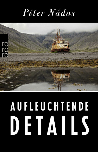 Aufleuchtende Details: Memoiren eines Erzählers