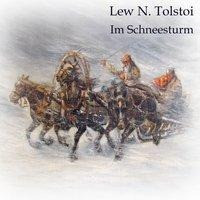 Im Schneesturm