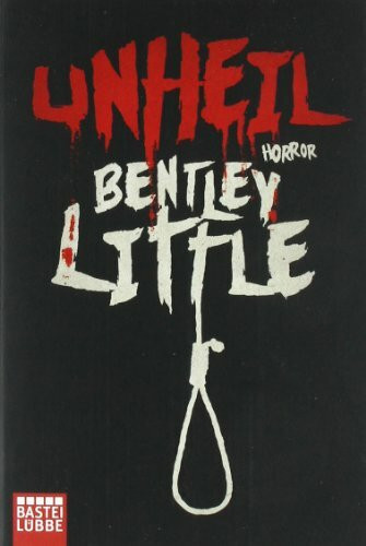 Unheil: Horror (Allgemeine Reihe. Bastei Lübbe Taschenbücher)