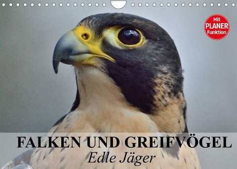 Falken und Greifvögel - Edle Jäger (Wandkalender 2022 DIN A4 quer)