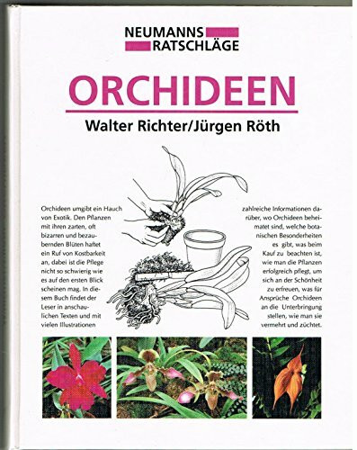 Orchideen