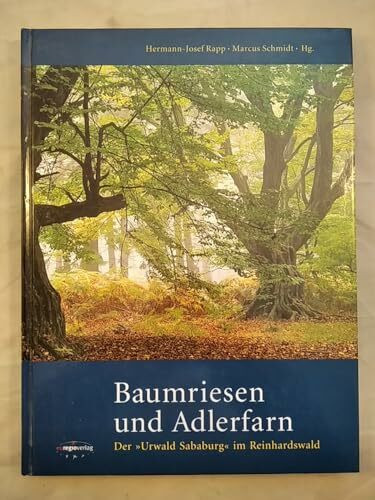 Baumriesen und Adlerfarn: Der "Urwald Sababurg" im Reinhardswald