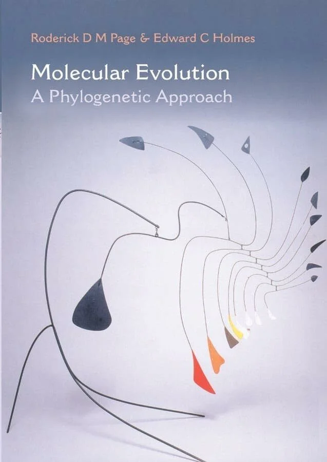 Molecular Evolution: A Phylogenetic Approach Buch Wiley-Blackwell