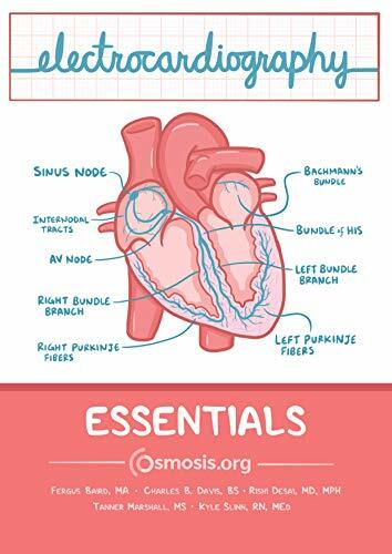 Osmosis Electrocardiography Essentials Osmosis Electrocardiography Essentials
