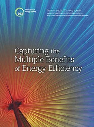 Capturing the Multiple Benefits of Energy Efficiency: A Guide to Quantifying the Value Added (International Energy Agency)