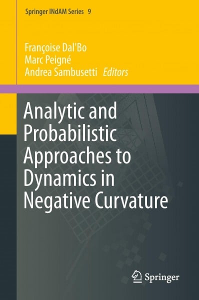 Analytic and Probabilistic Approaches to Dynamics in Negative Curvature