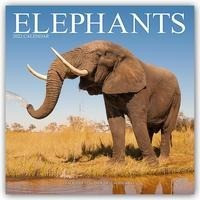 Elephants - Elefanten 2022 - 18-Monatskalender