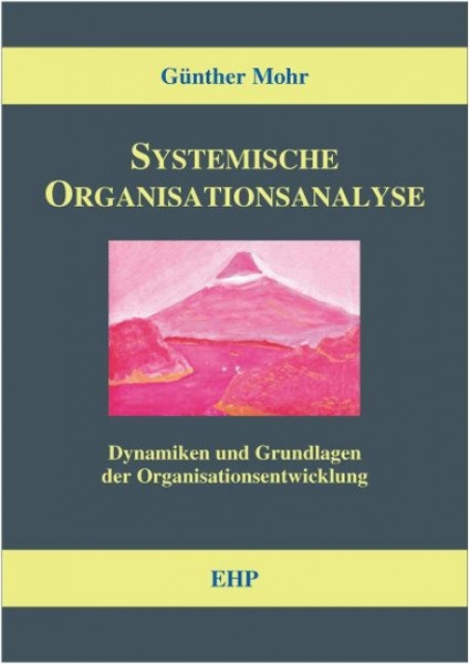 Systemische Organisationsanalyse