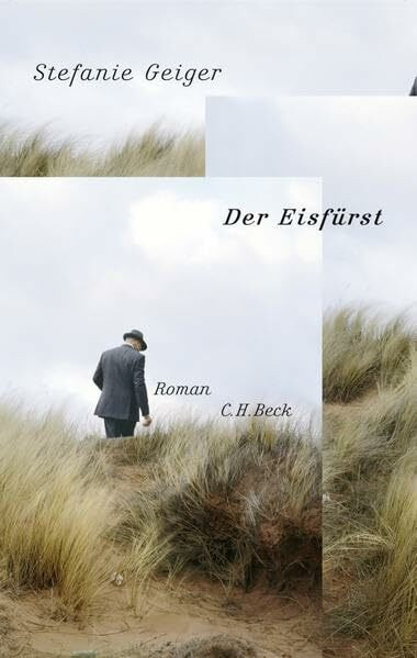 Der Eisfürst: Roman