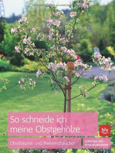 So schneide ich meine Obstgehölze: Obstbäume und Beerensträucher