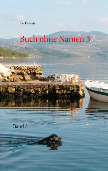 Buch ohne Namen 3