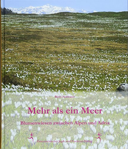 Mehr als ein Meer: Blumenwiesen zwischen Alpen und Adria