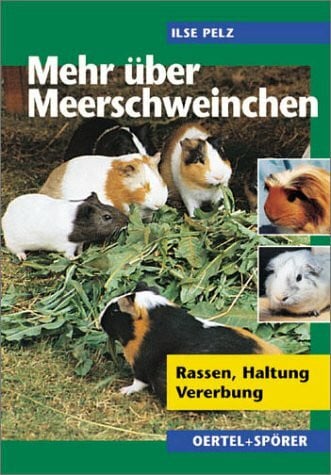 Mehr über Meerschweinchen: Rassen - Haltung - Vererbung