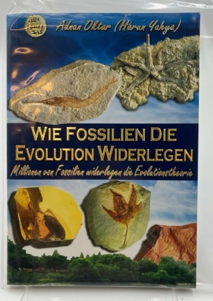 Wie Fossilien die Evolution Widerlegen - Millionen von Fossilien widerlegen die Evolutionstheorie