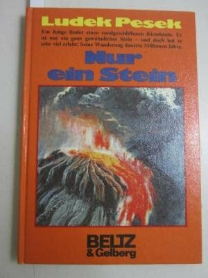 Nur ein Stein