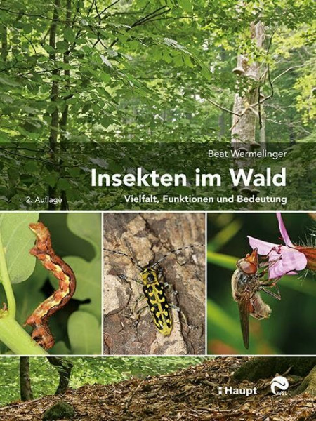 Insekten im Wald: Vielfalt, Funktionen und Bedeutung