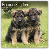 German Shepherd Puppies - Deutsche Schäferhunde - Welpen 2022 - 18-Monatskalender mit freier DogDays-App
