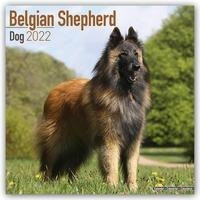 Belgian Shepherd Dog - Belgischer Schäferhund 2022