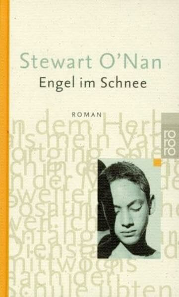 Engel im Schnee (rororo / Rowohlts Rotations Romane)