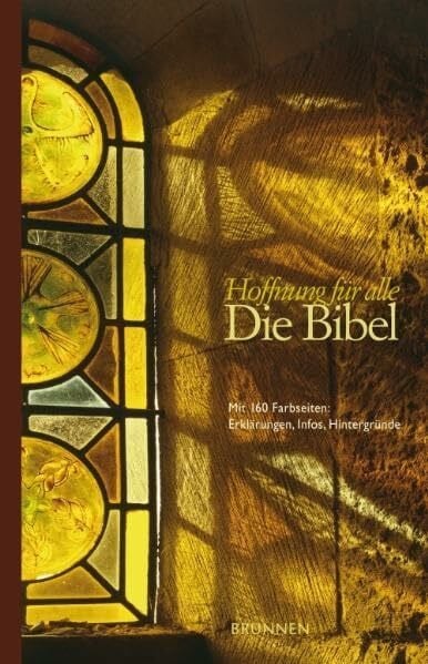 Hoffnung für alle - Basics-Edition: Mit 160 Farbseiten: Erklärungen, Infos, Hintergründe