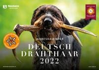Deutsch Drahthaar Kalender 2022