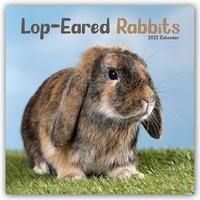 Lop-eared Rabbits - Kaninchen mit Hängeohren/Widderkaninchen 2022 - 18-Monatskalender
