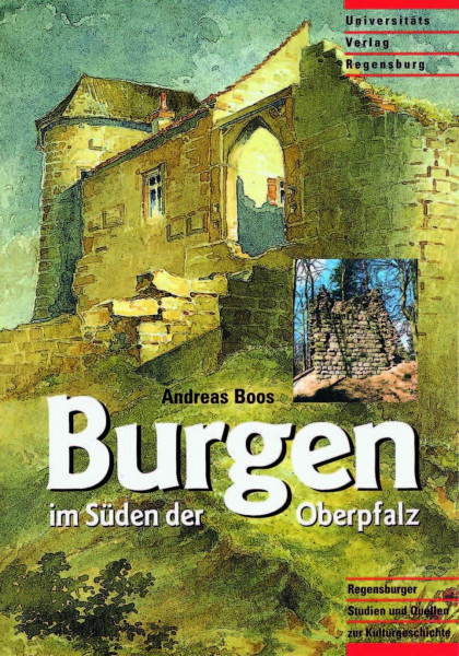 Burgen im Süden der Oberpfalz: Die früh- und hochmittelalterlichen Befestigungsanlagen des Regensburger Umlandes (Regensburger Studien und Quellen zur Kulturgeschichte, Band 5)