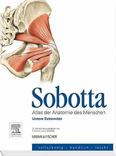 Sobotta, Atlas der Anatomie des Menschen Heft 3: Untere Extremität