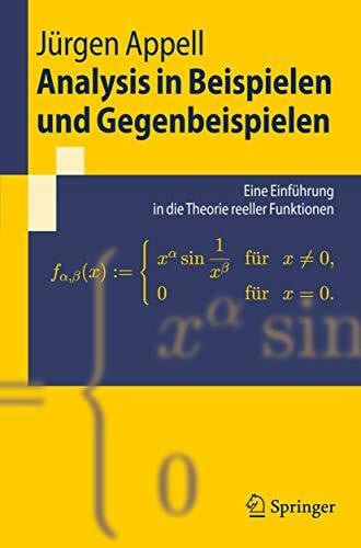 Analysis in Beispielen und Gegenbeispielen: Eine Einführung in die Theorie reeller Funktionen (Springer-Lehrbuch)