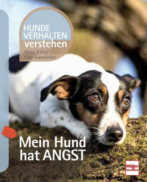 Mein Hund hat Angst: Hundeverhalten verstehen