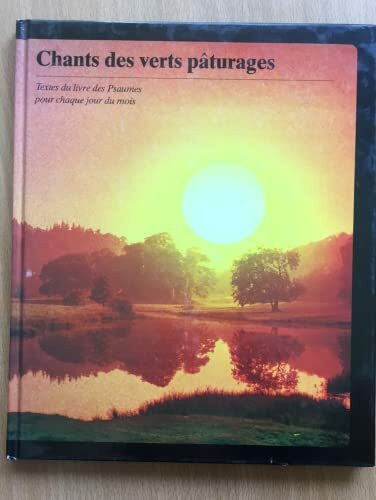 Ich glaub's - Den Sprung wagen: Sieben Begegnungen mit Jesus (Serendipity - Trend)