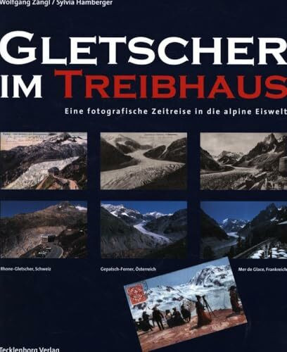 Gletscher im Treibhaus: Fotografischer Bestandsvergleich der Alpengletscher der letzten hundert Jahre