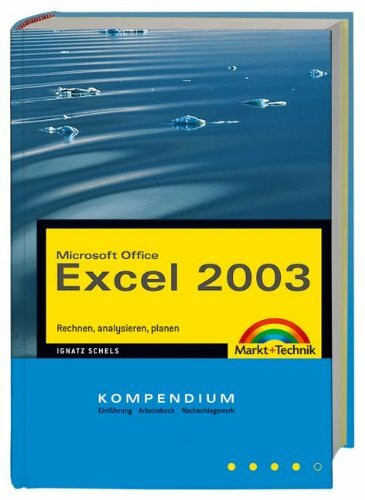 Excel 2003 - Kompendium (Kompendium / Handbuch)